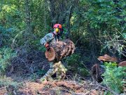 Erőből fakad az út!…