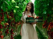 Friss, hazai, szentesi!…