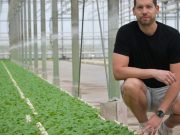 Két lépéssel a piac előtt…