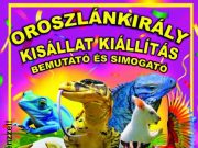 Mindenkit szeretettel várunk kisállat kiállításra!…