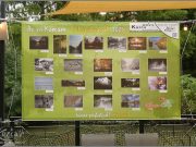 „„Megnyílt a Kurca Roadshow keretében kiírt, „Az én Kurcám” Rajz, és Fotópályáza…