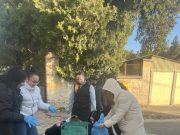 A HSZC Sz̳e̳n̳t̳e̳s̳i̳ Zs̳o̳l̳d̳o̳s̳ Fe̳r̳e̳n̳c̳ Te̳c̳h̳n̳i̳k̳u̳m̳ h̳ír̳e̳i̳…