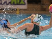 Beszámoló a szerda esti FTC-Telekom – Valdor Szentes mérkőzésről….