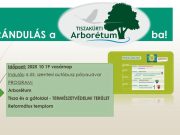 Egy remek program az ÖKOSzentessel vasárnap!…