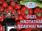 Elkezdődött az Őszi Hajtatási Szakmai Nap a DélKerTÉSZ-nél. Nagypéter Sándor, a …