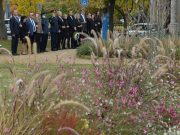 Halottak napi megemlékezés Szentesen…