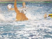 Beszámolónk a mai FTC-Telekom Metalcom Szentes mérkőzésről edzői értékeléss…