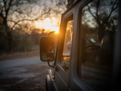 Lámpafényben edzett rutin…