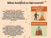 Mihez kezdjünk az őszi avarral? Ne égesse el, van sokkal jobb megoldás!…