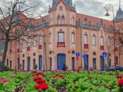 Szentes kapta a Virágos Magyarország 30 ezernél kevesebb lakosúak versenyében a …