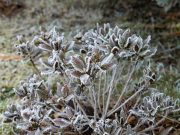 Szentesi Művelődési Központ megváltoztatta a borítóképét….