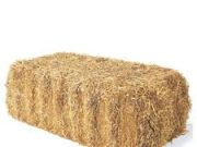 Tisztelt Követőink!…