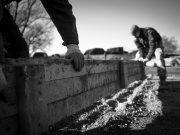 Épültünk, szépültünk – 2025-ben is tovább fejlődtünk!…