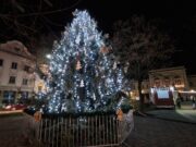 A 2025. évi városi karácsonyfa utóélete…