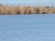 Műszaki búváraink a Holt-Tiszánál gyakorolták a jeges merülést….