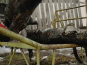 Nem csak tűzifát viszünk: az otthon melegét szállítjuk….