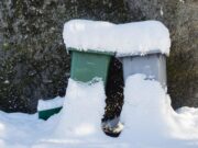 Szombaton pótolják a hó miatt elmaradt hulladékszállítást…