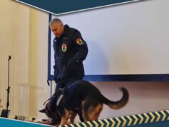 A Csongrád-Csanád Vármegyei Rendőr-főkapitányság Bűnmegelőzési Osztálya a Szente…