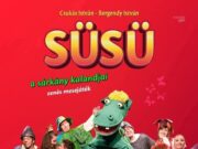 Már csak 13 db jegy maradt….