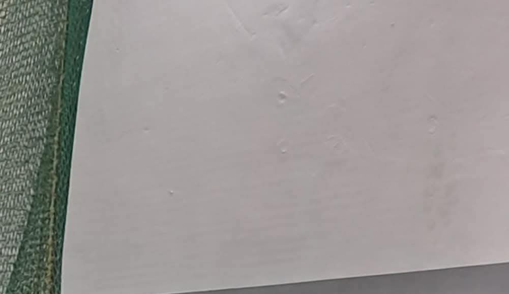 Tavasz az atlétáknál…