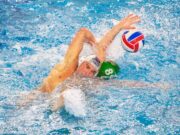 ÚJABB DEBÜTÁLÁS…