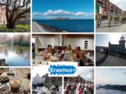 Hazaérkeztek közismeretis oktatóink írországi tanulmányútjukról!…