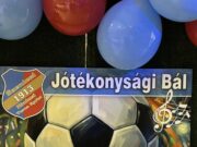 Ismét eltelt egy év……