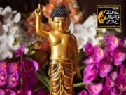 KÖZÉRDEKŰ INFORMÁCIÓ…