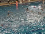 Kicsi a bors, de erős…