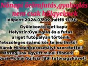 Nőnapi örömfutás gyaloglás nem csak hölgyeknek…