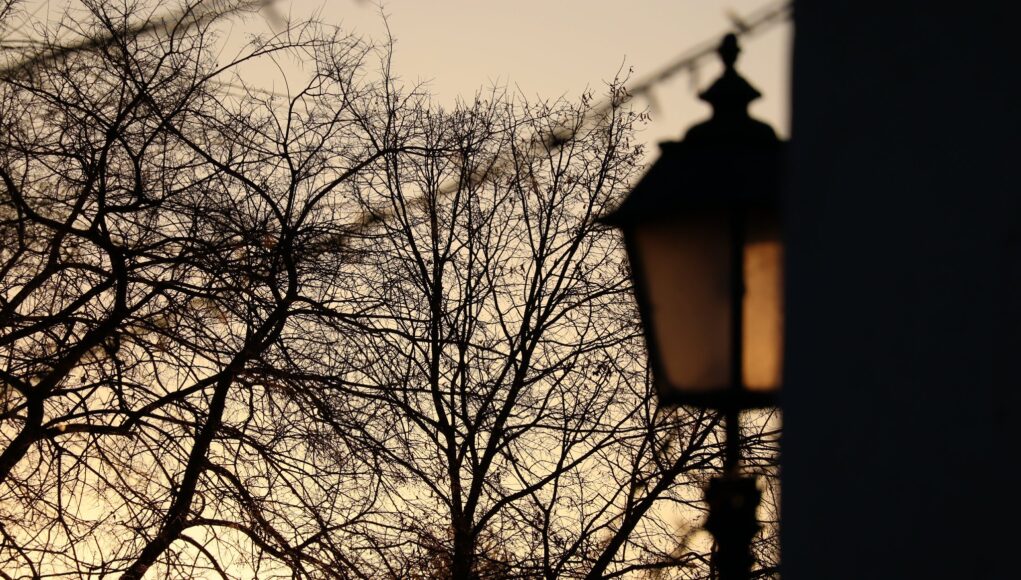 Pollákos diák munkái a Sajtófotó Pályázaton!…