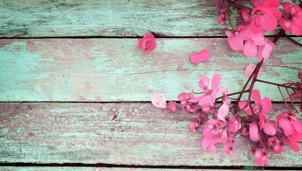 Szentesi Művelődési Központ megváltoztatta a borítóképét….