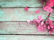 Szentesi Művelődési Központ megváltoztatta a borítóképét….