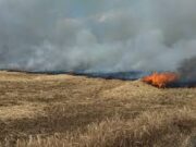Tűzgyújtási tilalom lépett életbe Csongrád-Csanád vármegyében…