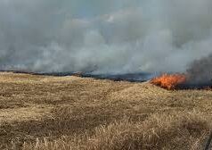 Tűzgyújtási tilalom lépett életbe Csongrád-Csanád vármegyében…