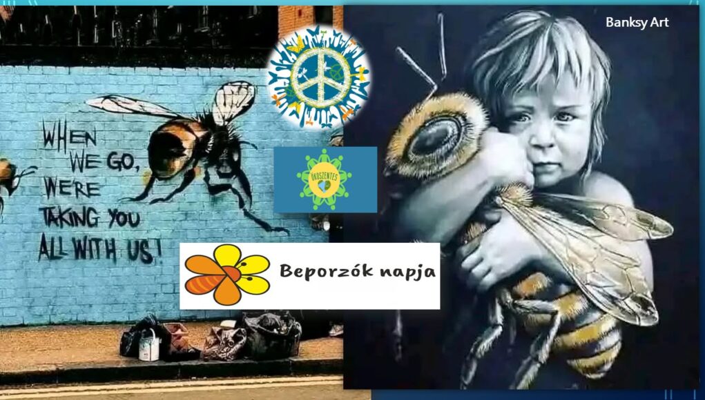 Új sorozat: ÖKOSzentes – Zöld szemmel…