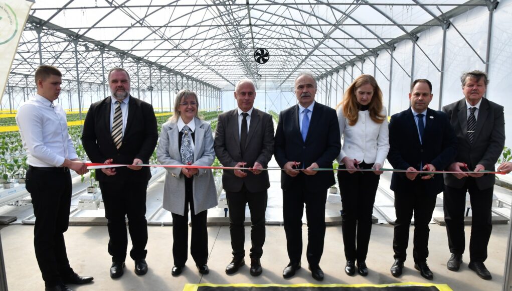 Kertészeti mentorprogramot indítottak a szentesi termelők…