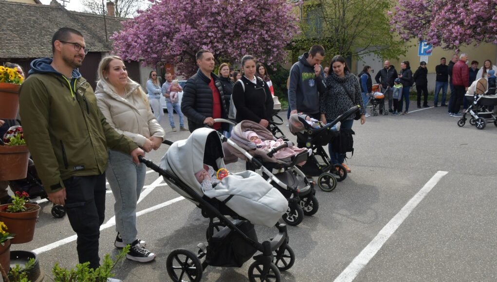 Új Élet Fákkal gazdagodott Szentes: gyökeret eresztenek a legkisebbek…