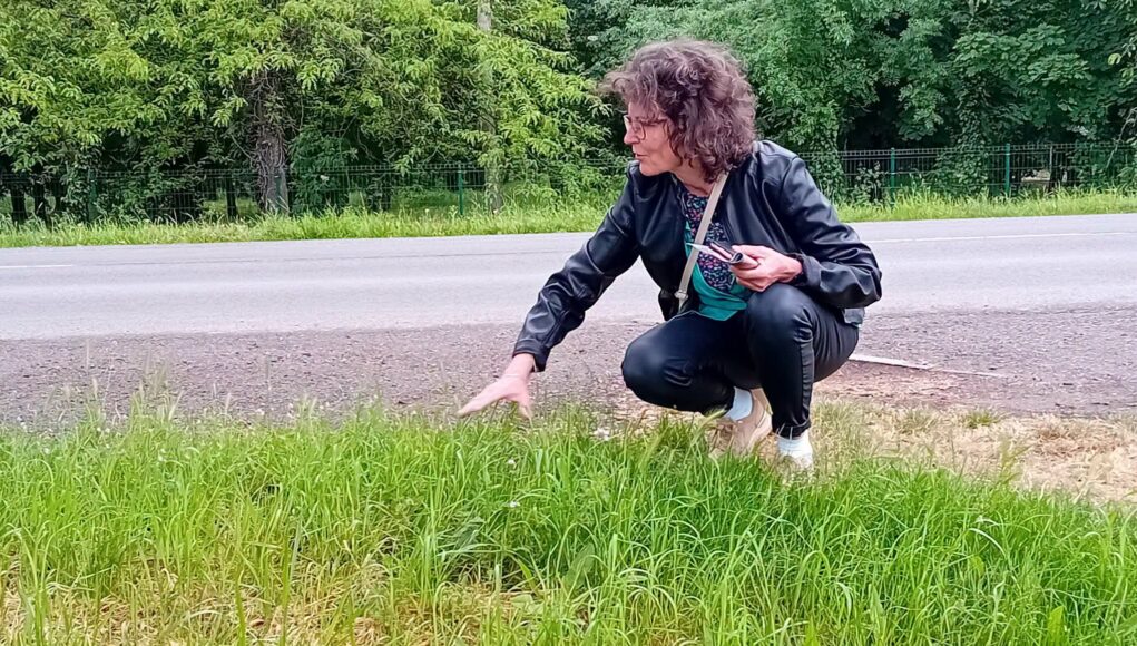 „Pihentesd a fűnyíród!”…