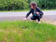 „Pihentesd a fűnyíród!”…