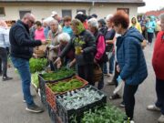 Kedves Nagymamák!…