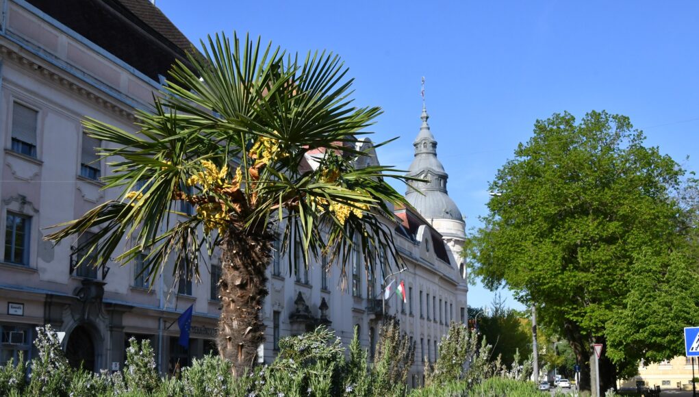 Újra a helyén a város jelképe…