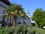 Újra a helyén a város jelképe…