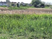 Vadvirágos gyepek, ÉRTÜNK…