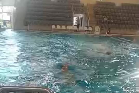 Várd ki a végét Egér nektek integet…