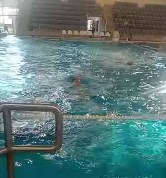 Várd ki a végét Egér nektek integet…