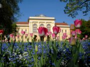 Virágszínvonalasabb Szentesért 2026 versenyre lakossági felhívás…