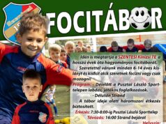 A megosztásokat köszönjük……