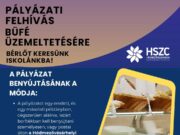 A pályázati leírás az alábbi linken érhető el:…