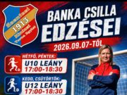 A hozzászólás lehetőségét kikapcsolták ennél a bejegyzésnél….
